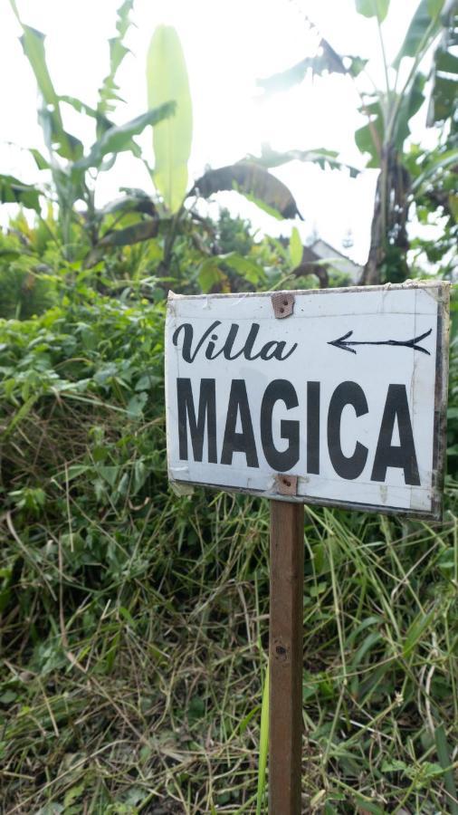 Villa Magica ウブド エクステリア 写真